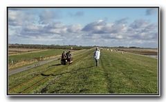 Auf dem Weg zur Hallig