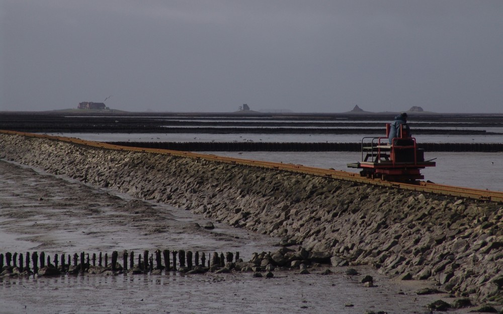 Auf dem Weg zur Hallig