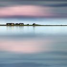 Auf dem Weg zur Hallig