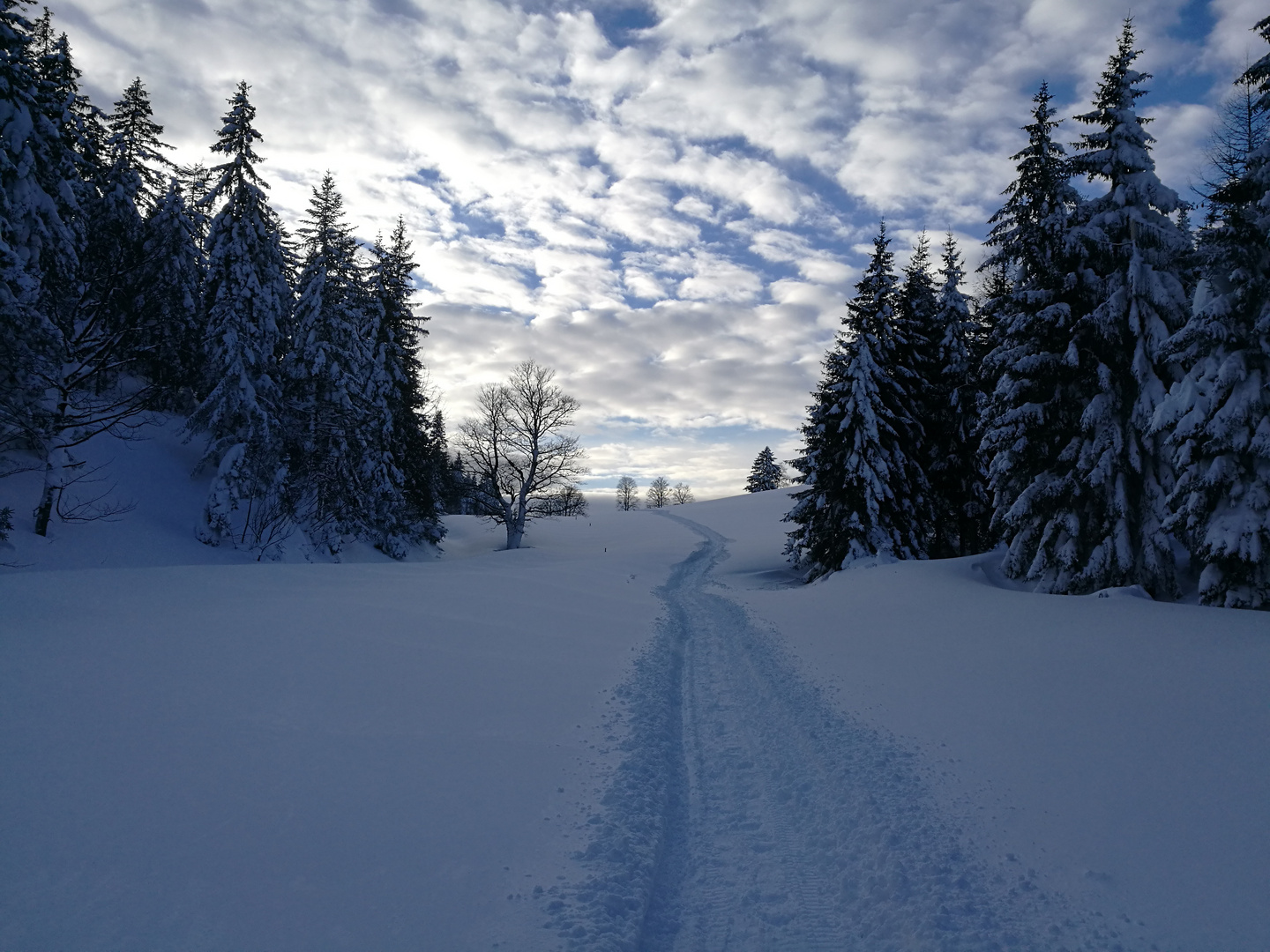 Auf dem Weg zur Halseralm