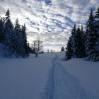 Auf dem Weg zur Halseralm