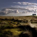 Auf dem Weg zur Hamburger Hallig