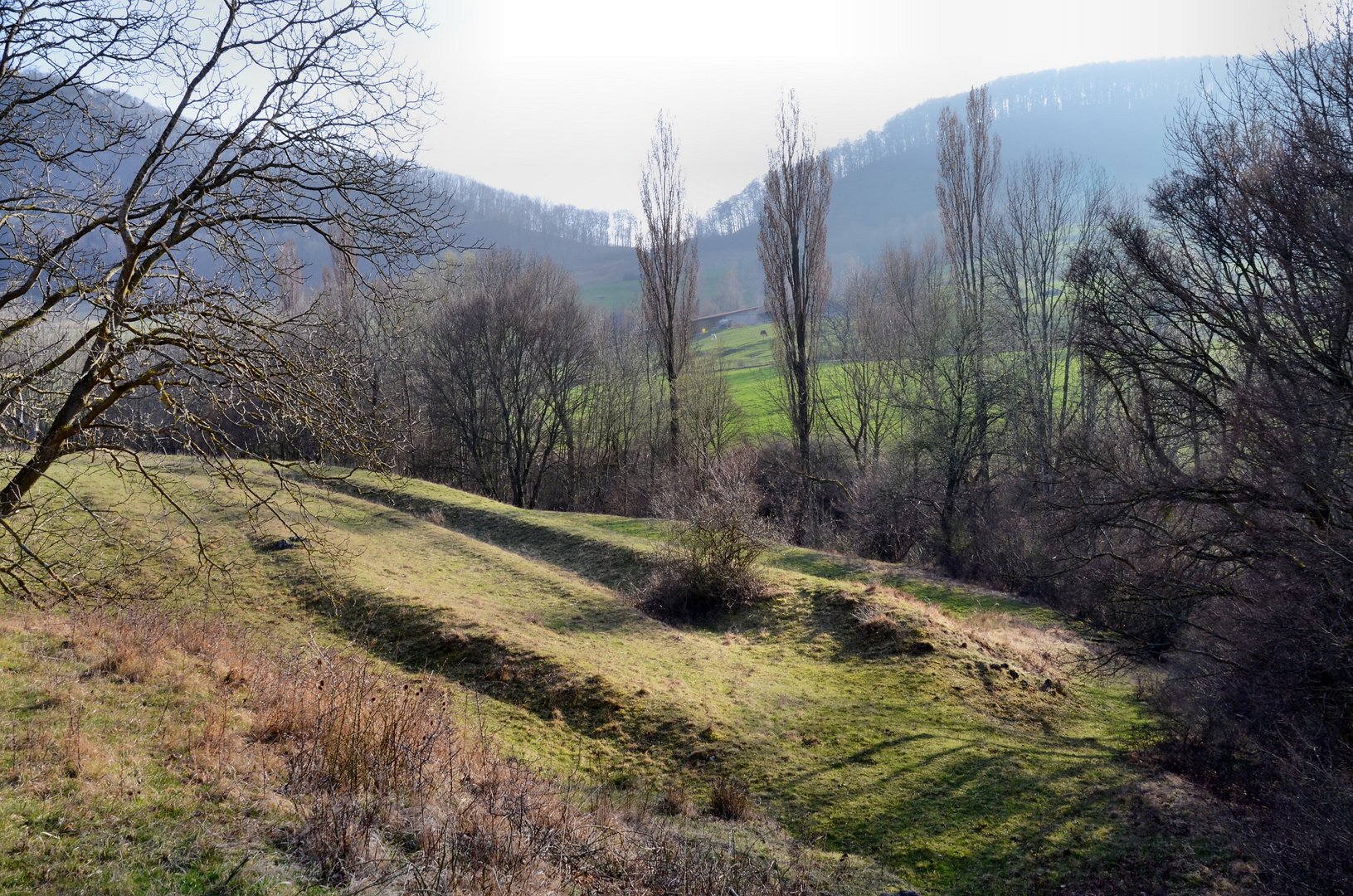 auf dem Weg zur Heide