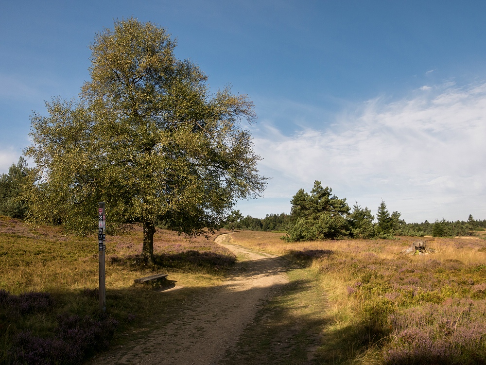 Auf dem Weg zur Hochheidehütte