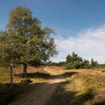 Auf dem Weg zur Hochheidehütte