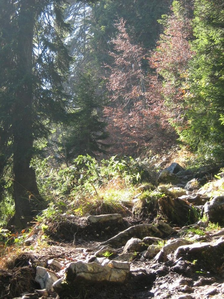 Auf dem Weg zur Hochplatten (Chiemgauer Alpen)