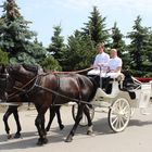 Auf dem Weg zur Hochzeit