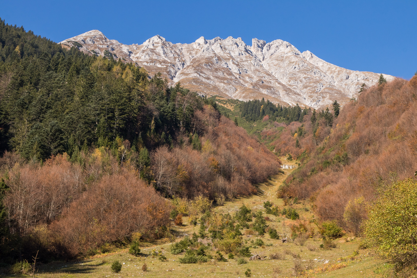 Auf dem Weg zur Höttinger Alm