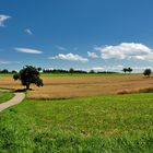 Auf dem Weg zur - Hohen Flum - Dinkelberg 353m.ü.M.