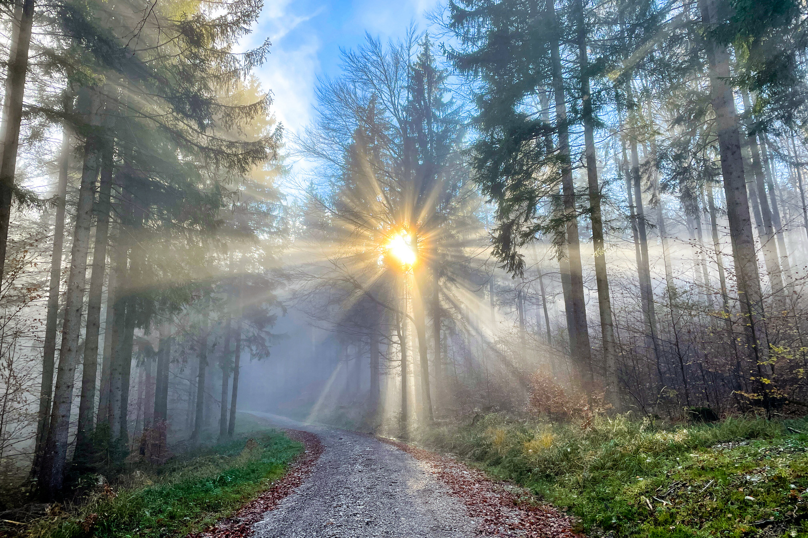 Auf dem Weg zur Hohen Tann