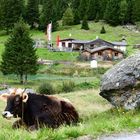 Auf dem Weg zur Jamtalhütte...