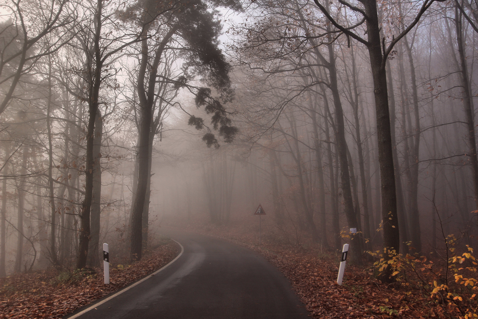 Auf dem Weg zur Kalmit