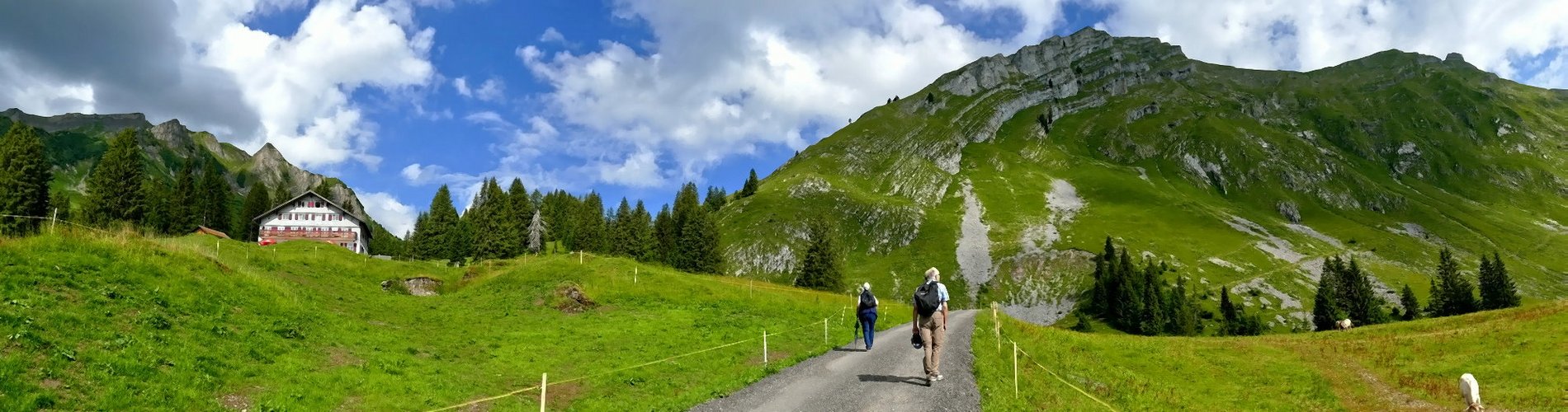 Auf dem Weg zur Kanisfluh