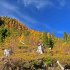 Auf dem Weg zur Kögerl-Alm in Dorfgastein