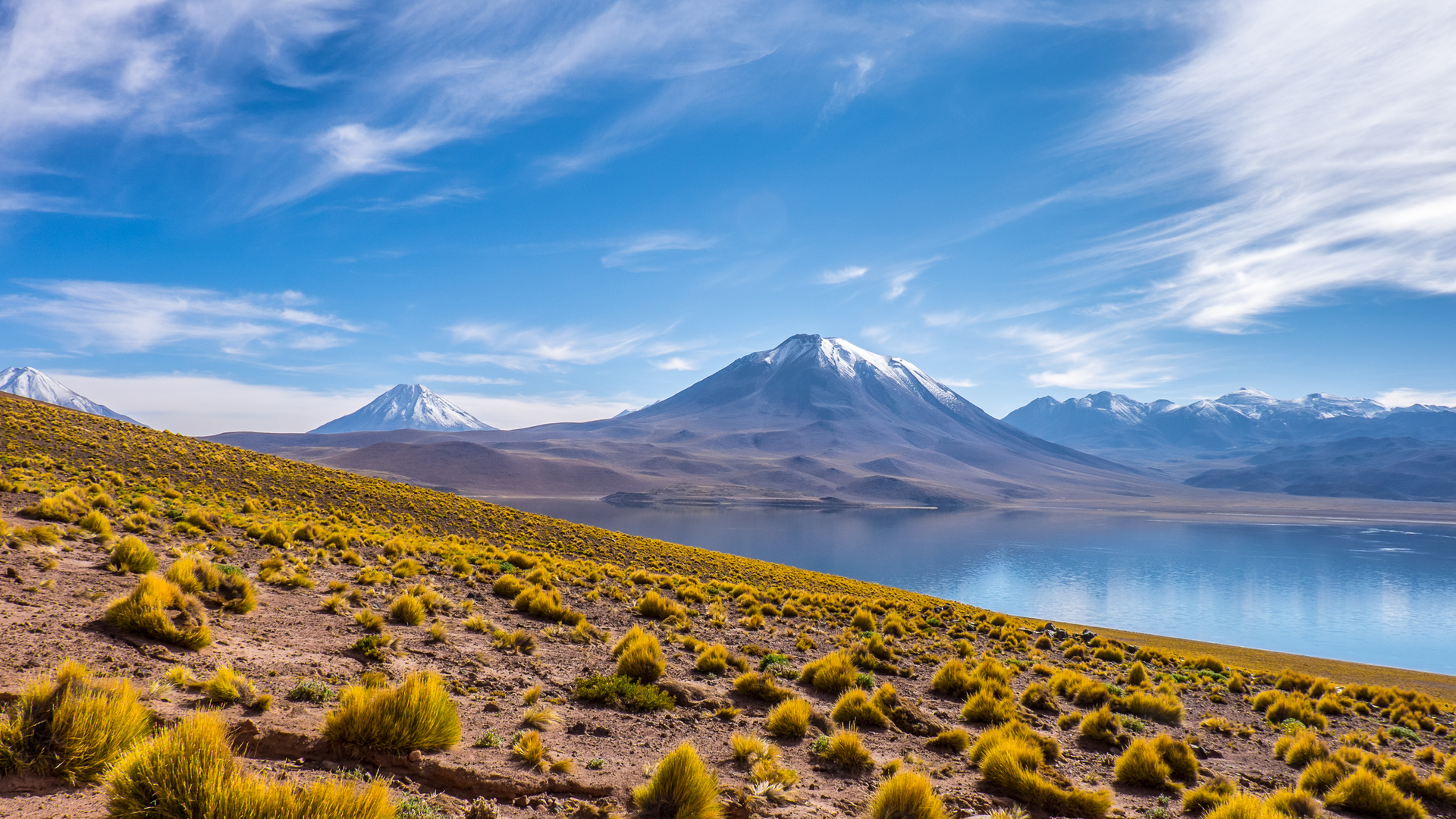 Auf dem Weg zur Laguna Miscanti Foto & Bild | south america, landschaft