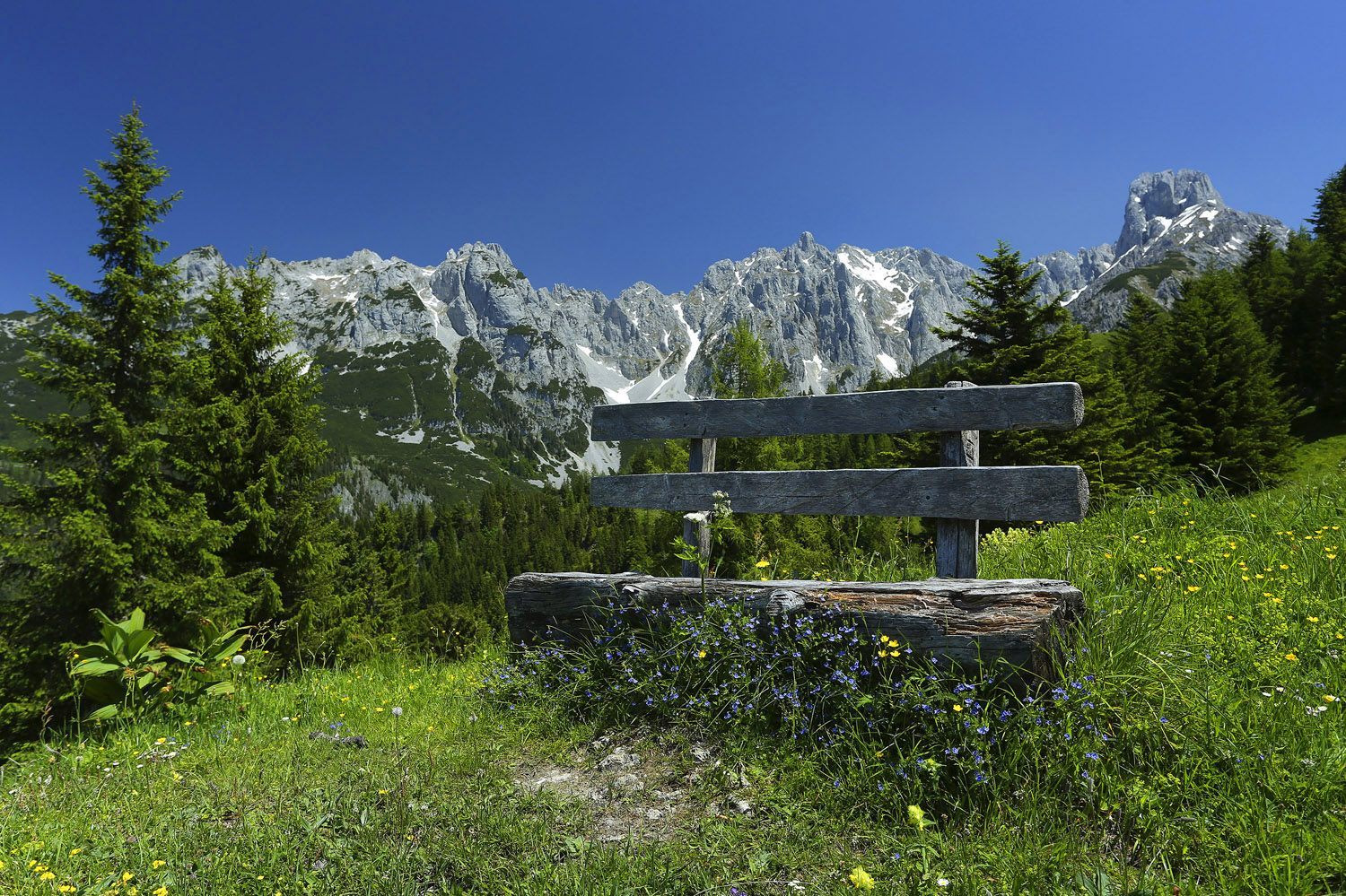 Auf dem Weg zur Mahdalm