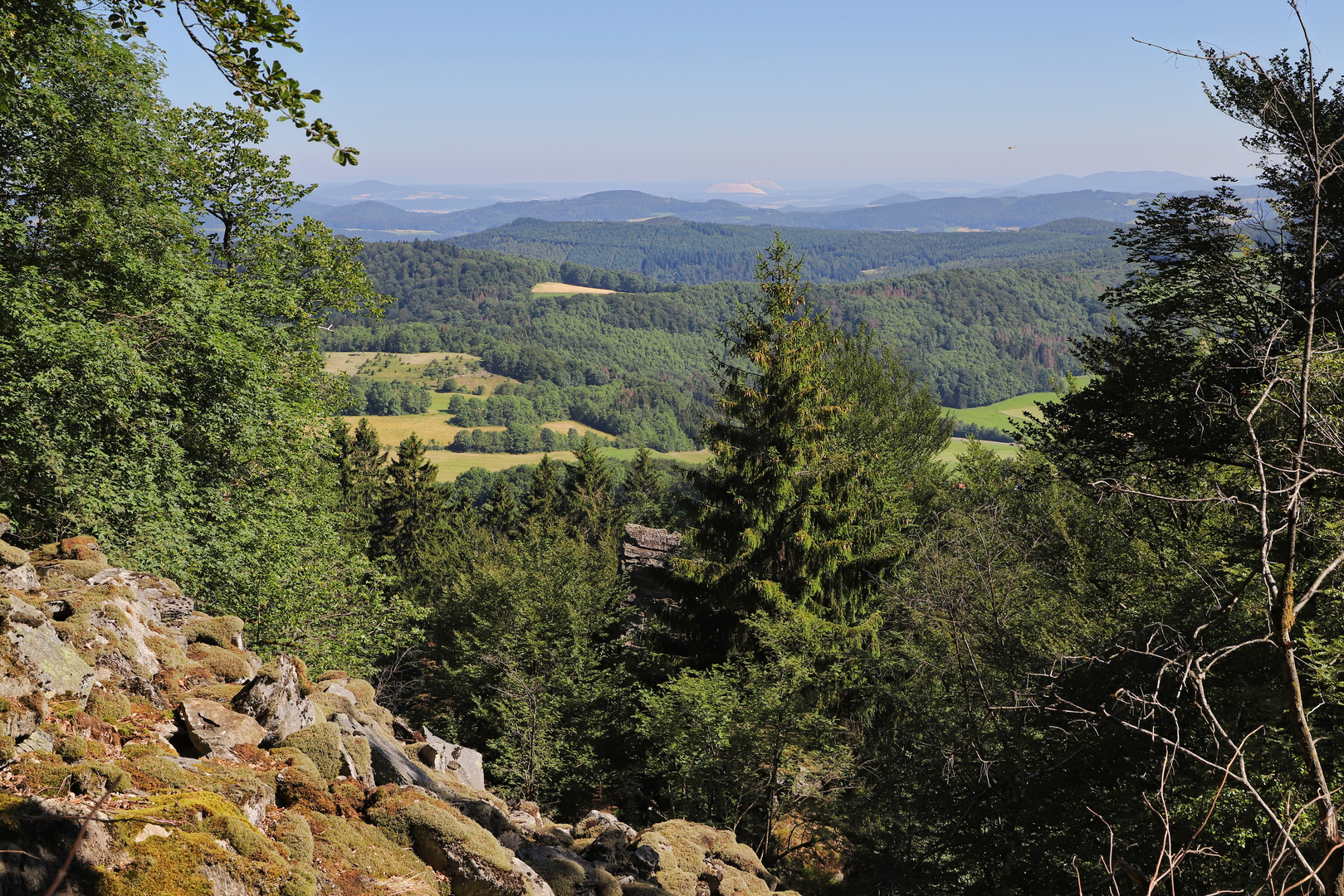 Auf dem Weg zur Milseburg (2019_06_29_EOS 6D Mark II_4482_ji)