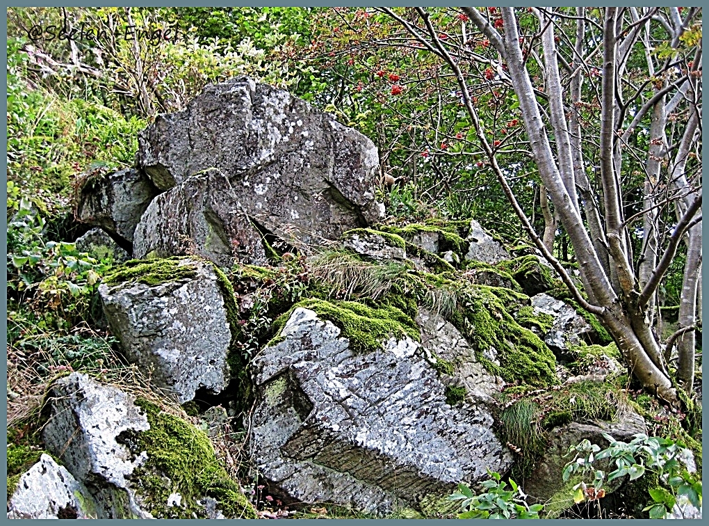 ~~~auf dem Weg zur Milseburg/Rhön~~~