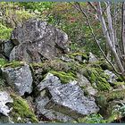 ~~~auf dem Weg zur Milseburg/Rhön~~~