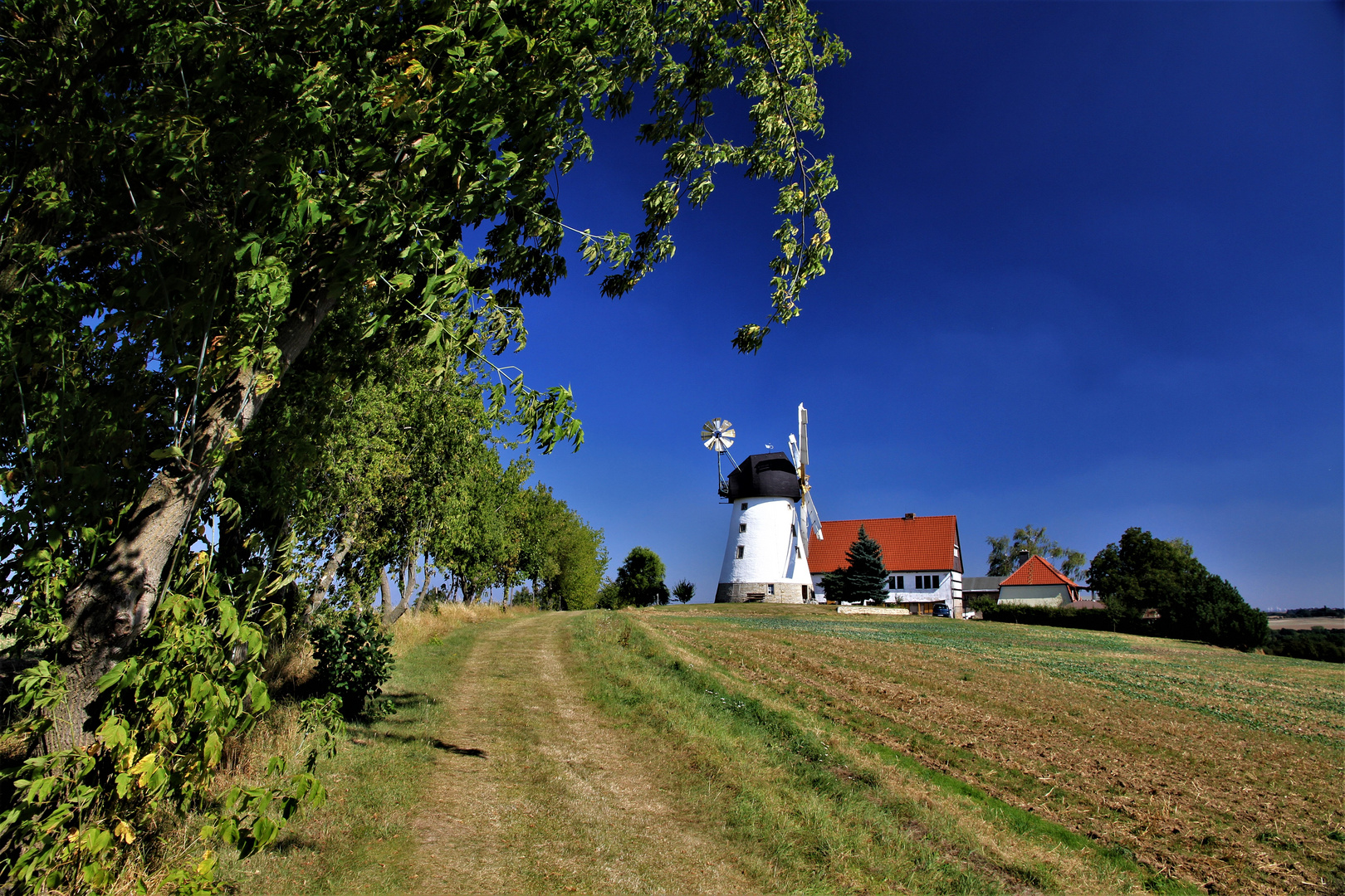 auf dem Weg zur Mühle