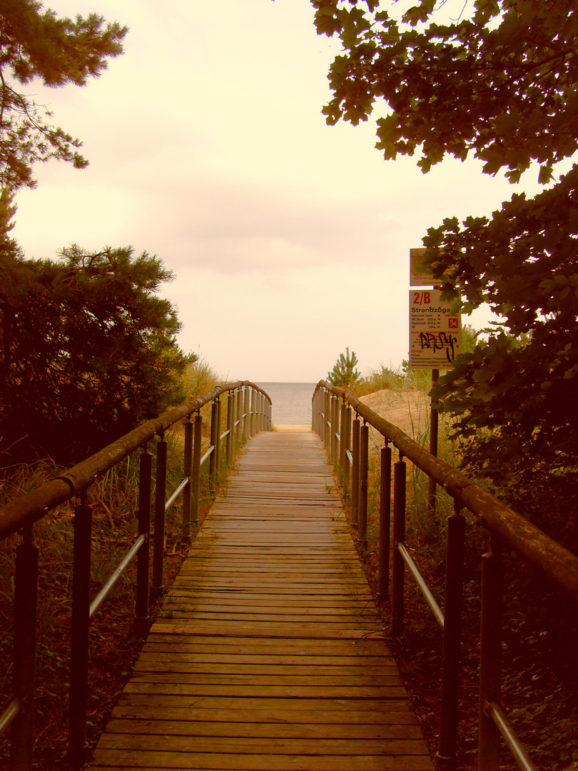 Auf dem Weg zur Ostsee