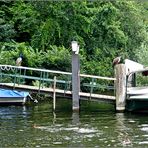 Auf dem Weg zur Pfaueninsel in Berlin...