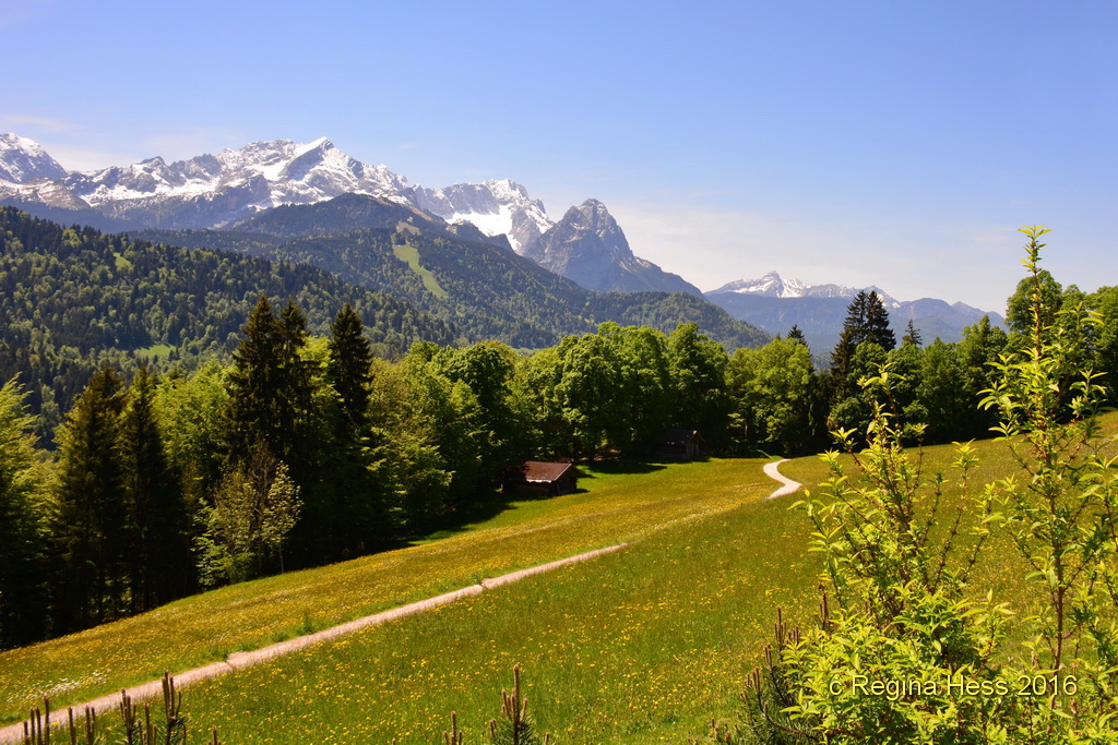 .....auf dem Weg zur Pfeiffer Alm -1