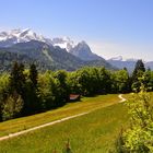 .....auf dem Weg zur Pfeiffer Alm -1