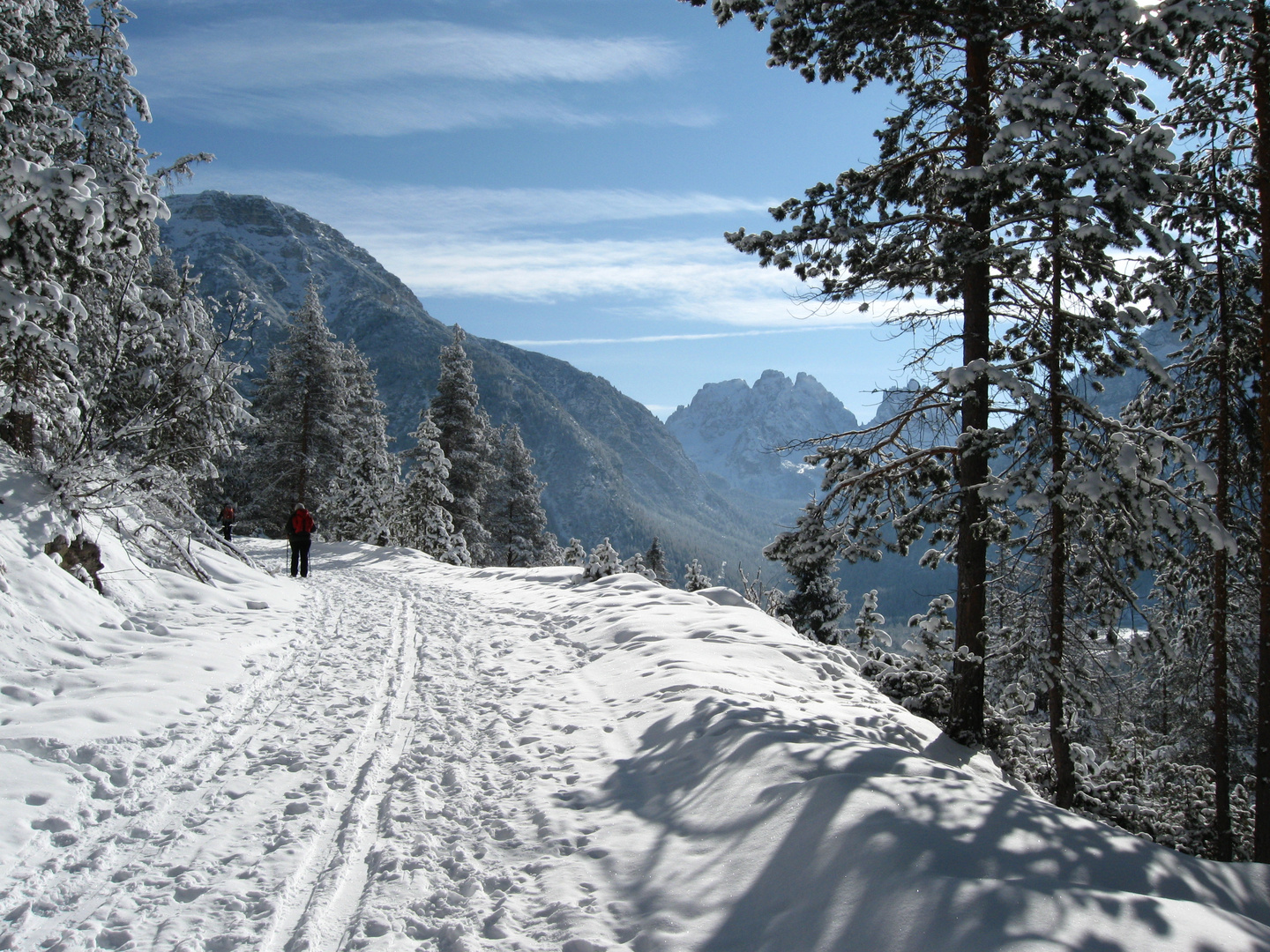 auf dem Weg zur Plätzwiese