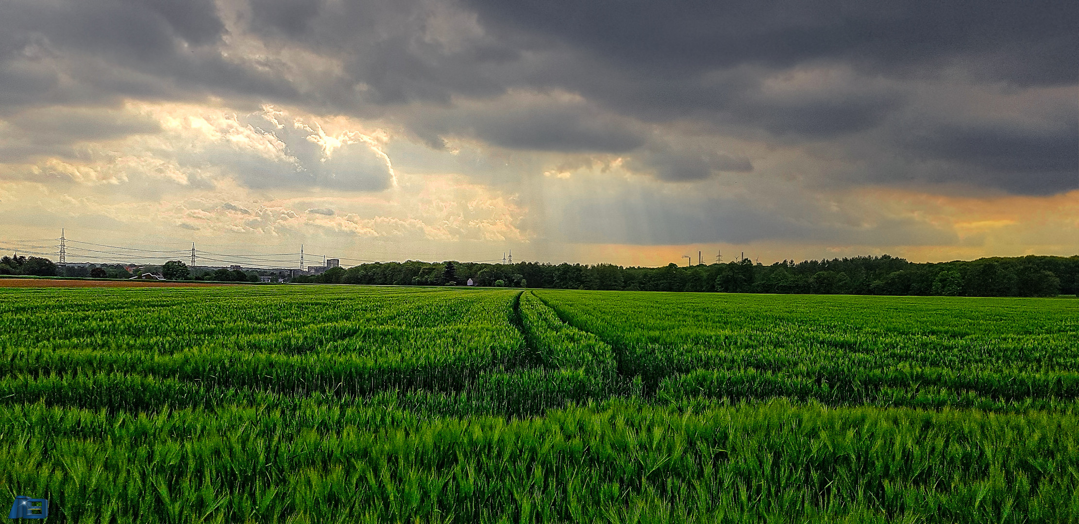 Auf dem Weg zur Ried