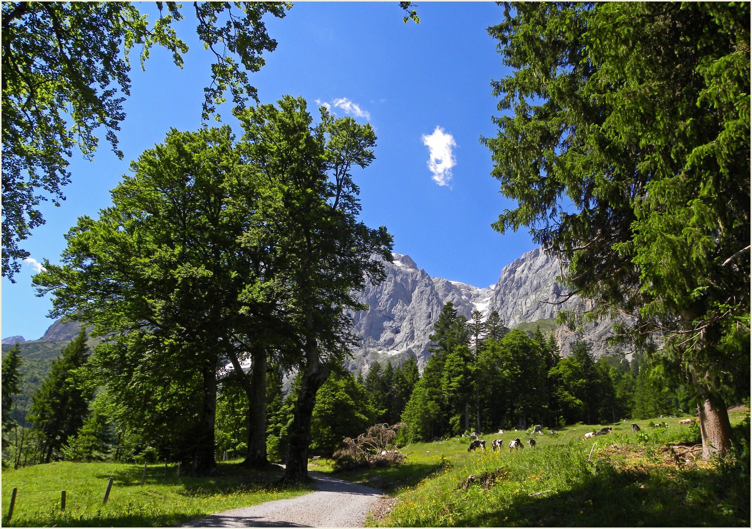 Auf dem Weg zur Rieding Alm 2...