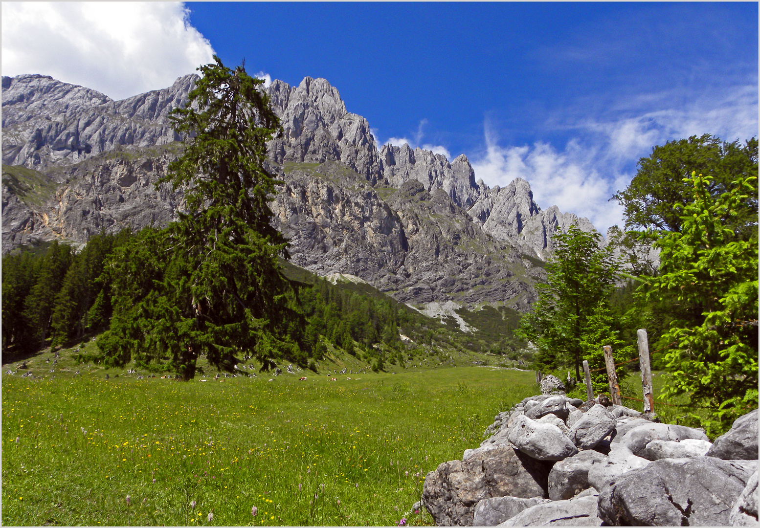 Auf dem Weg zur Rieding Alm 4 ...