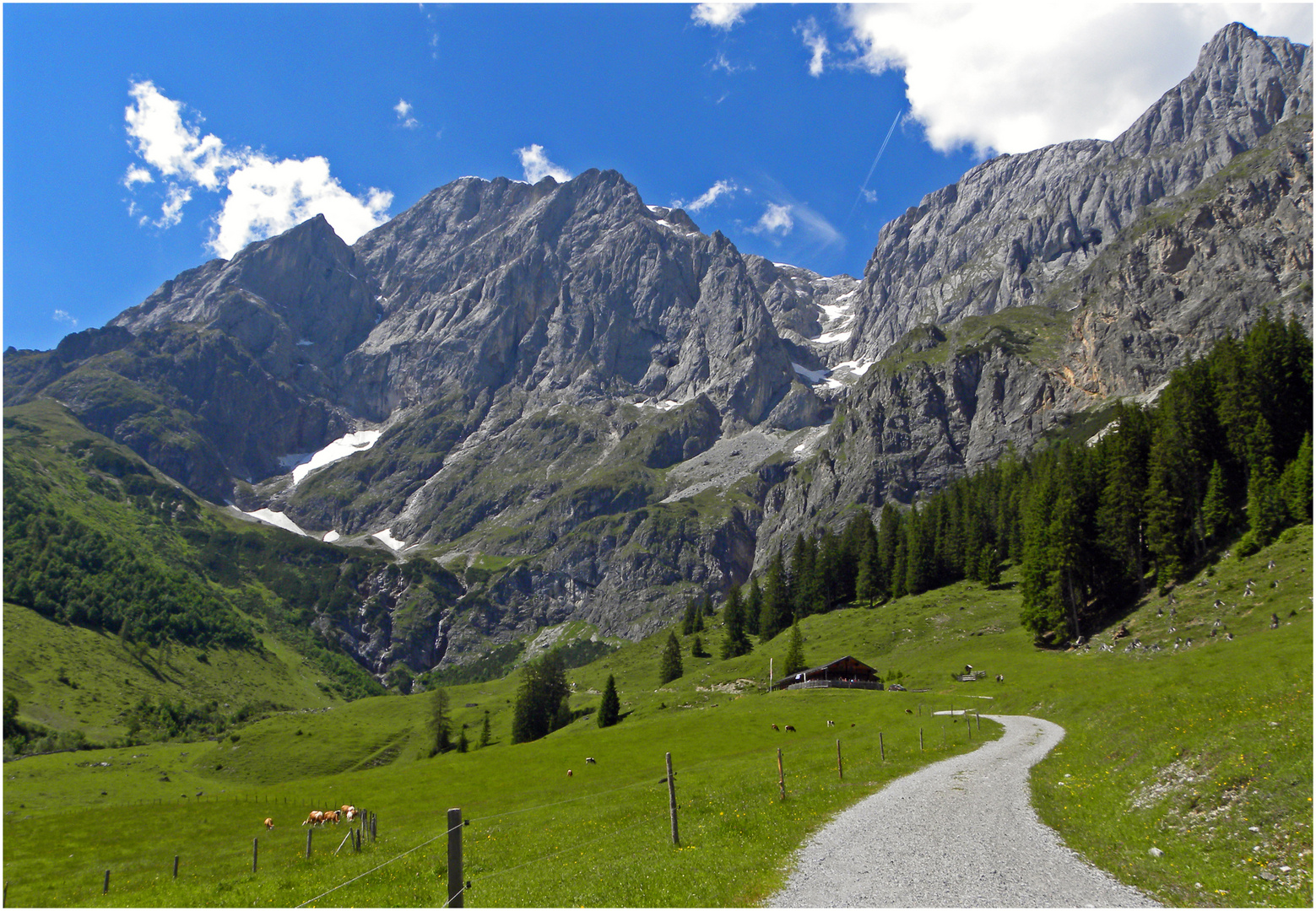 Auf dem Weg zur Rieding Alm 5 ...