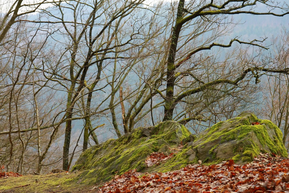 Auf dem Weg zur Ruine Haichenbach