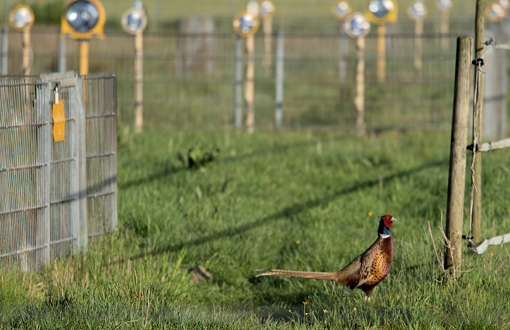 Auf dem Weg zur Runway