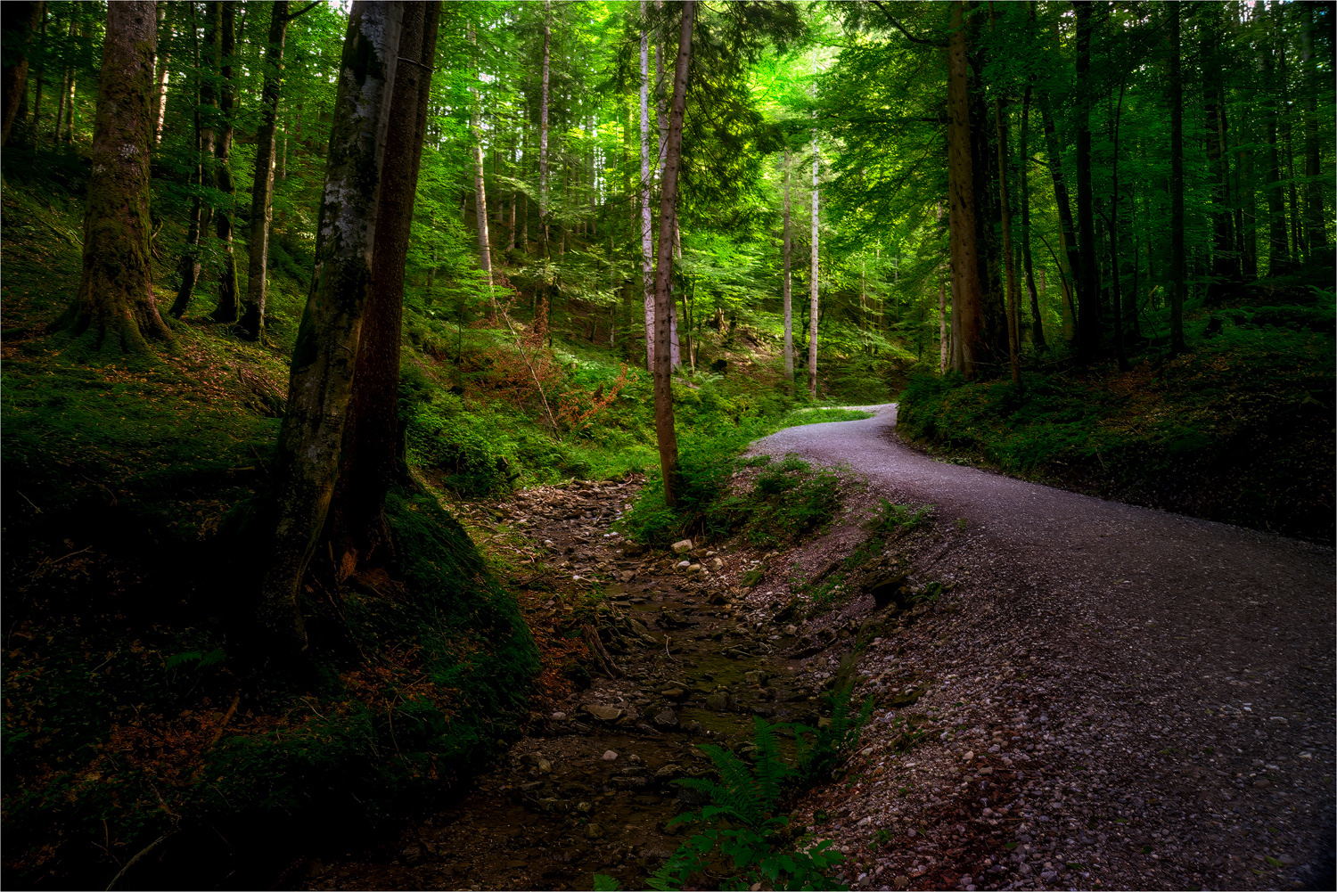 Auf dem Weg zur Saurüssel-Alm II