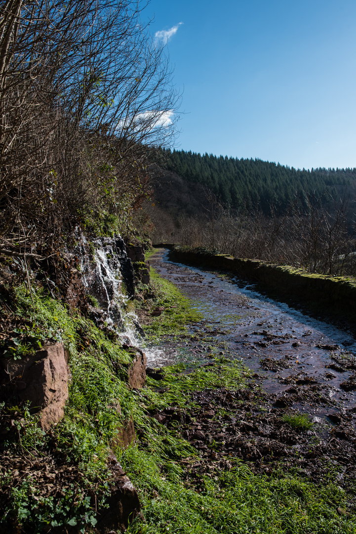 Auf dem Weg zur Schlucht