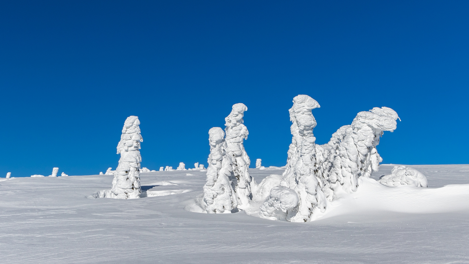 Auf dem Weg zur Schneekoppe