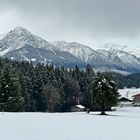 Auf dem Weg zur Sennerei