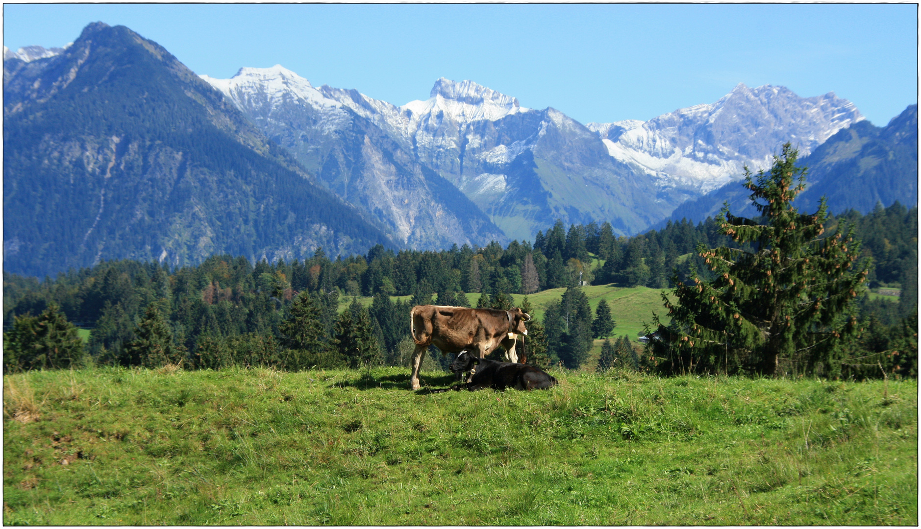 Auf dem Weg zur Sesselalpe