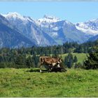 Auf dem Weg zur Sesselalpe