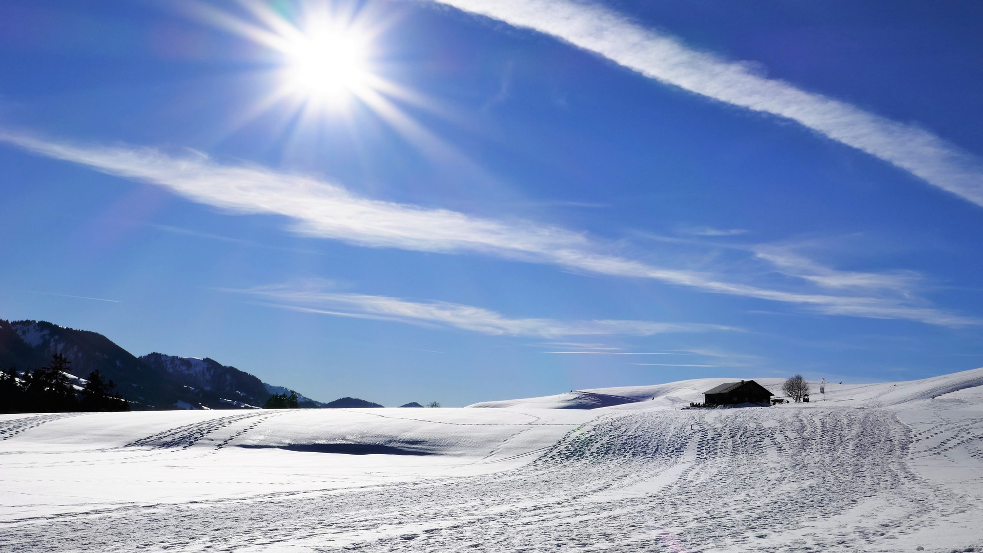 Auf dem Weg zur Siedelalpe