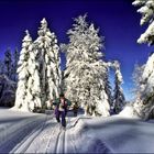  Auf dem Weg zur Skitour