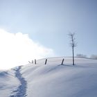 Auf dem Weg zur Solitüde