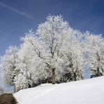 auf dem weg zur sonne