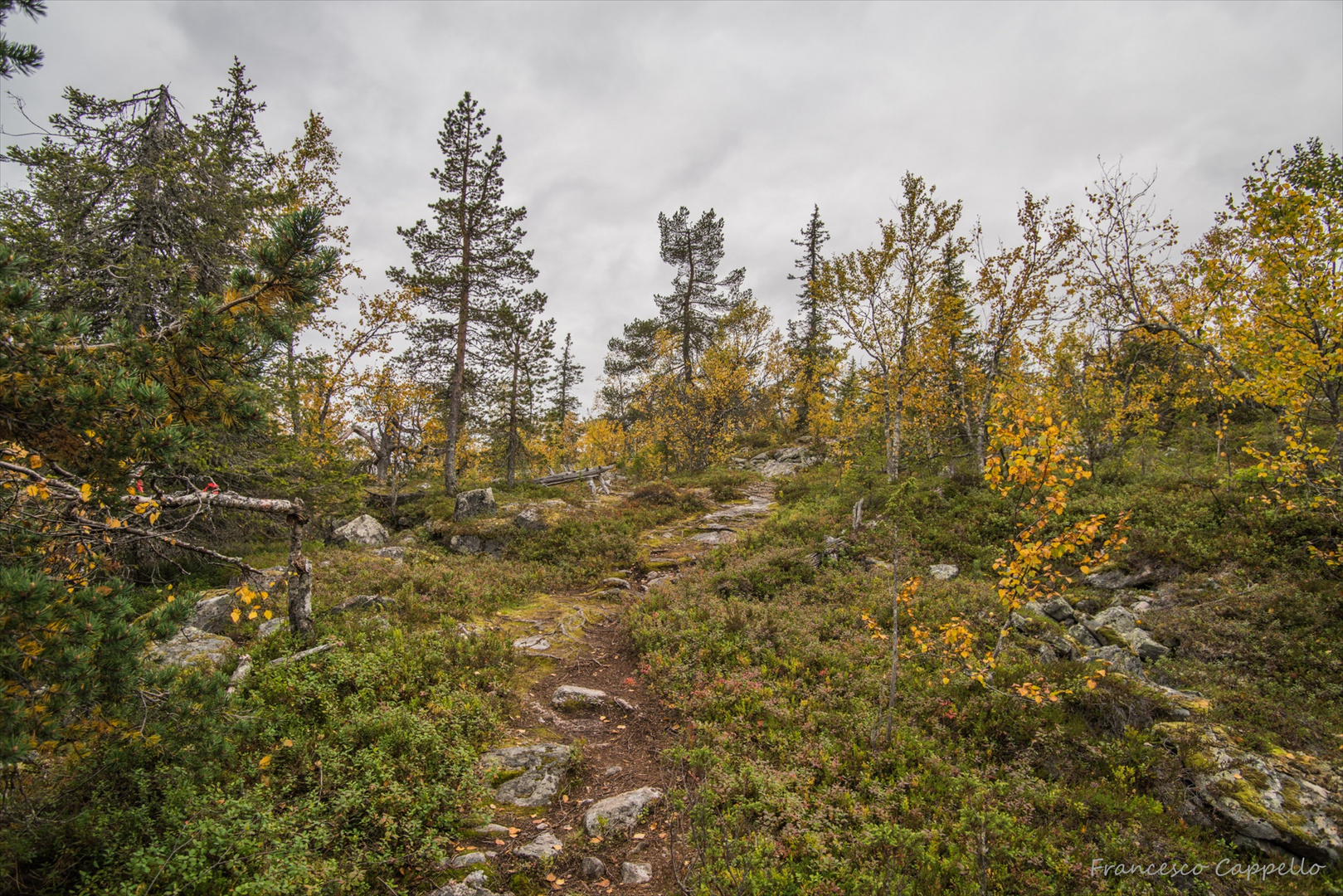 auf dem Weg zur Spitze