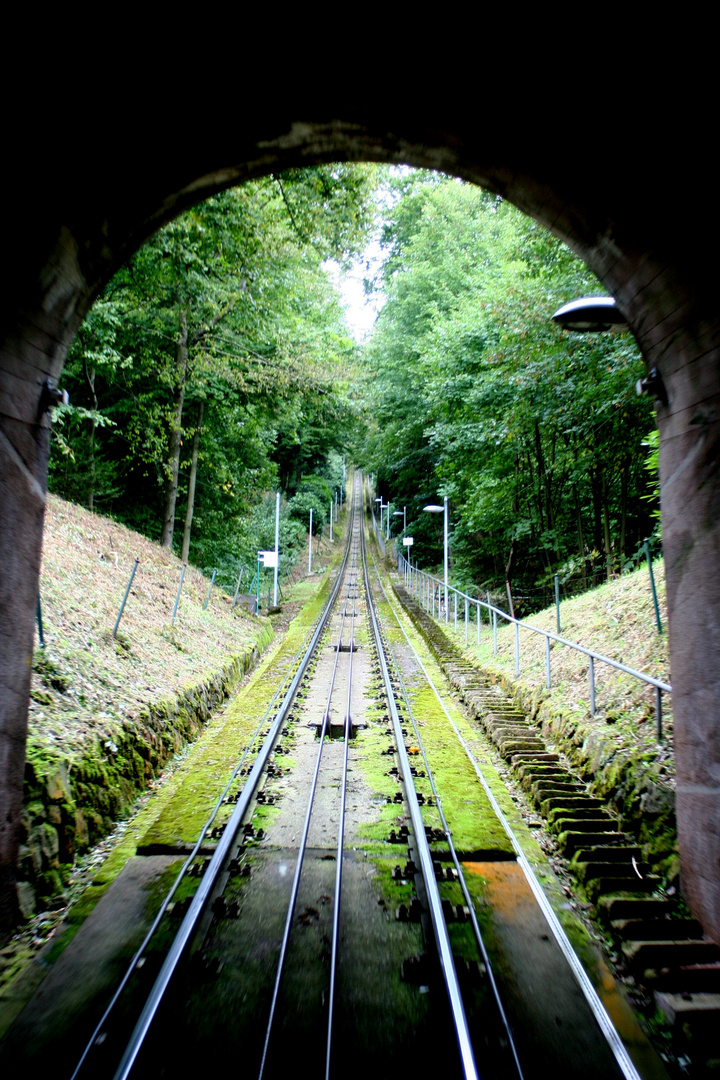 auf dem Weg zur Spitze