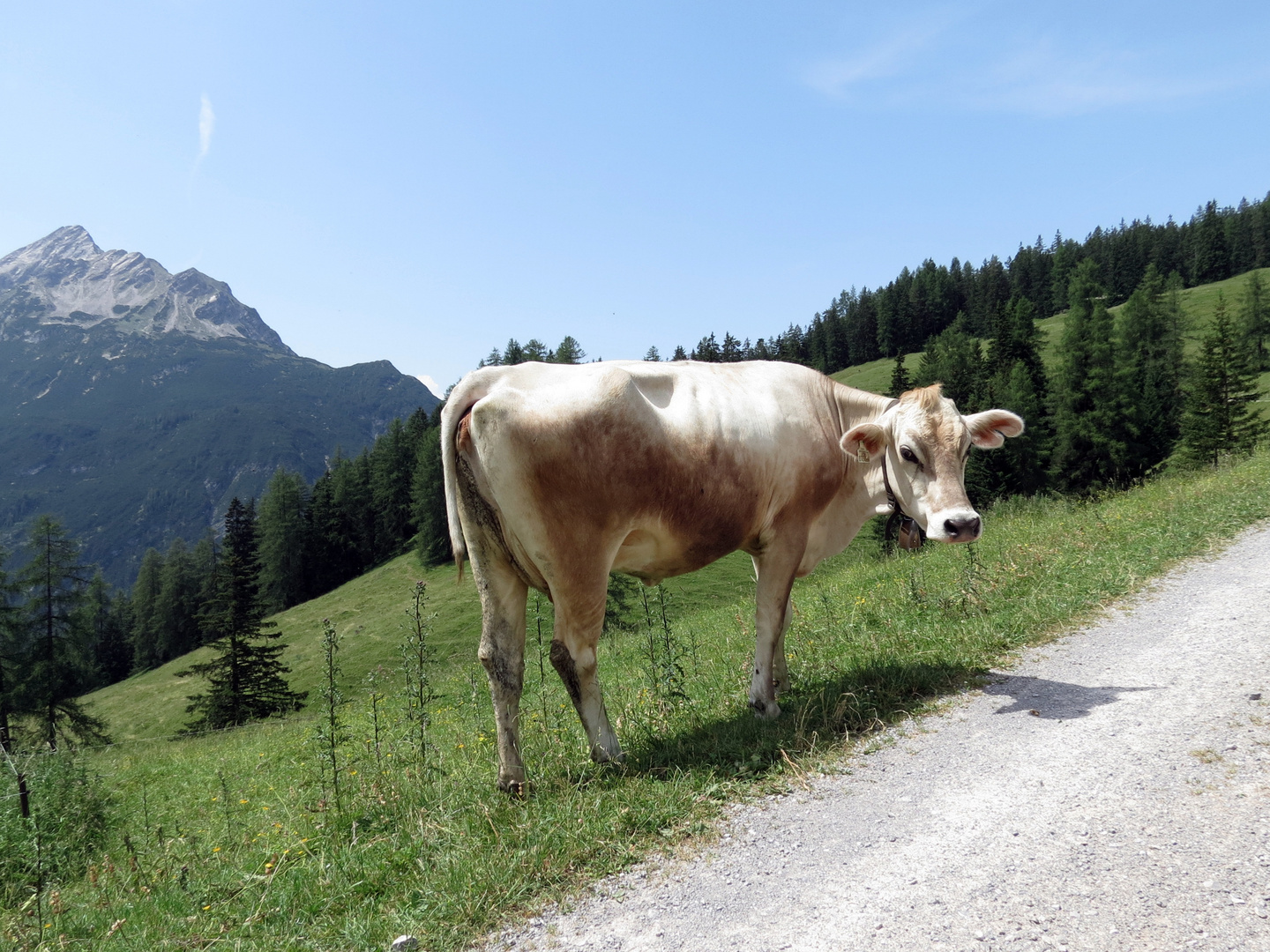 Auf dem Weg zur Stablalm