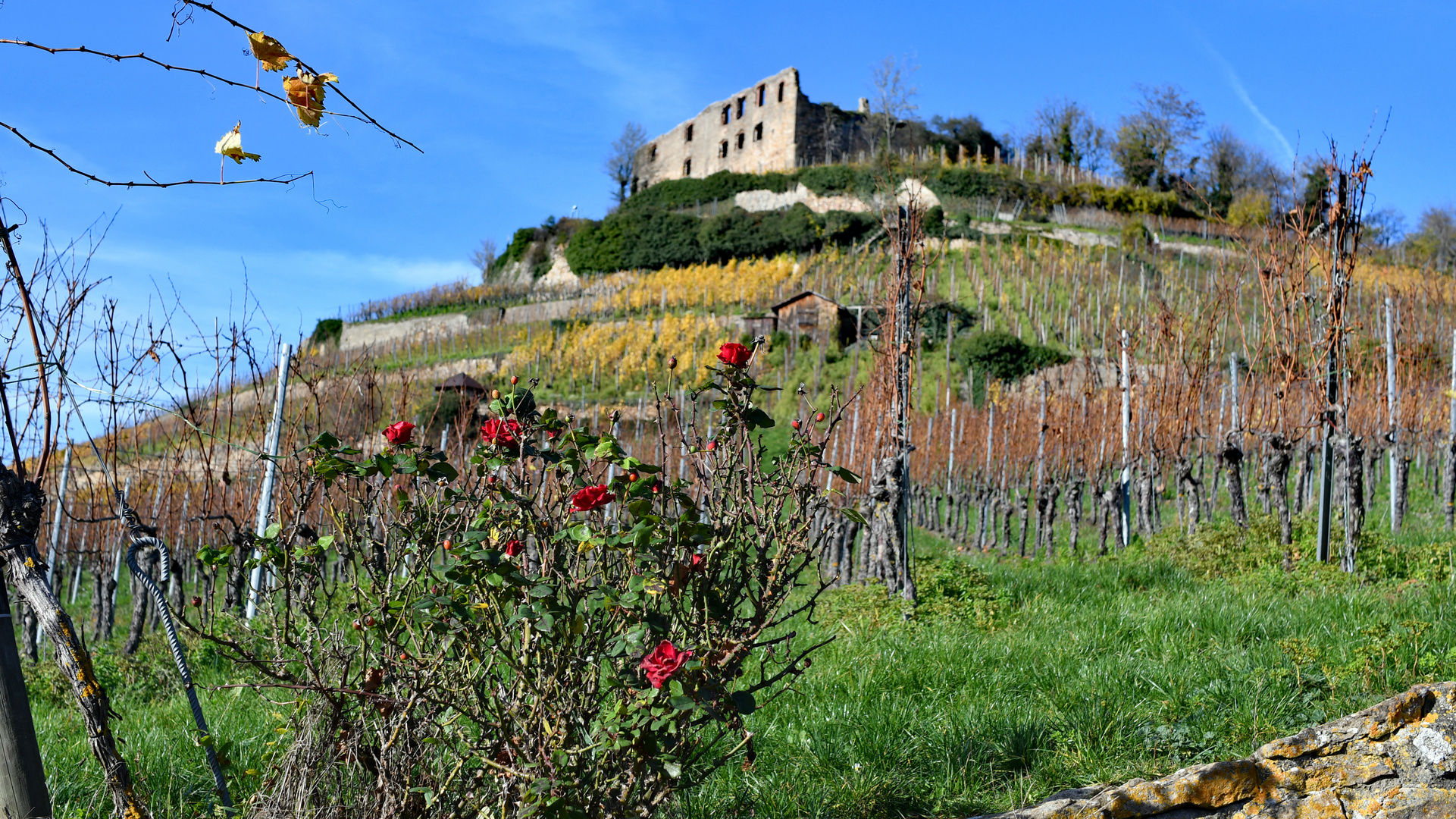 Auf dem Weg zur Staufener Burg