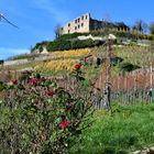 Auf dem Weg zur Staufener Burg